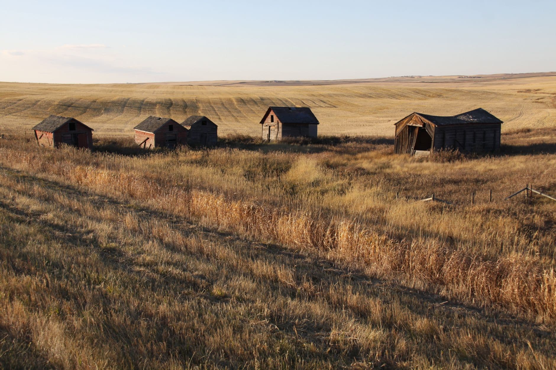 UGC creator filming product content in Brooks, Alberta